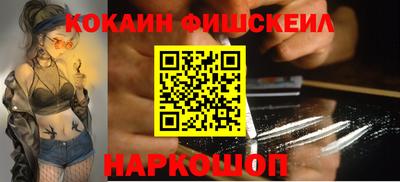 стафф Кингисепп