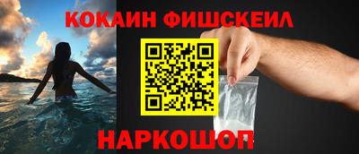 стафф Кингисепп