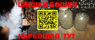 стафф Кингисепп