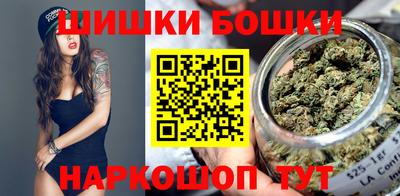стафф Кингисепп