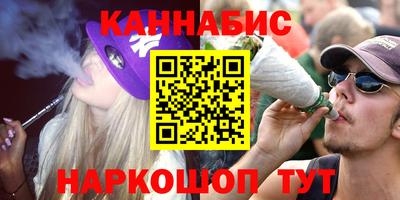 сатива Кимры