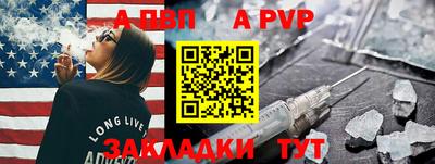 стафф Кингисепп
