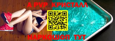стафф Кингисепп