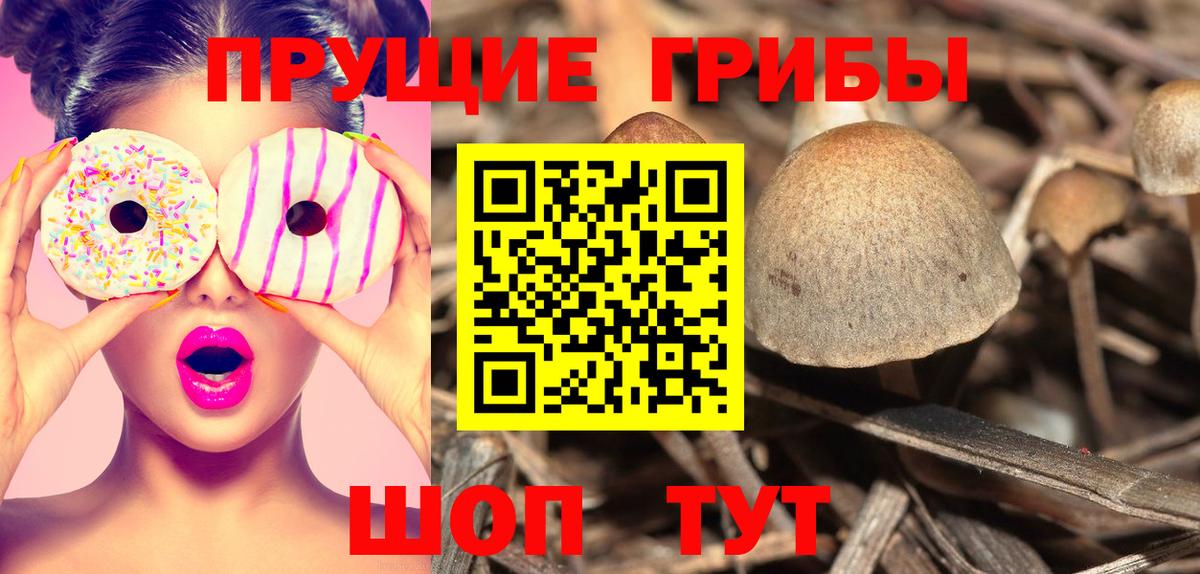 Галлюциногенные грибы Cubensis  Псилоцибиновые грибы мухоморы  Вход с VPN  Конаково 